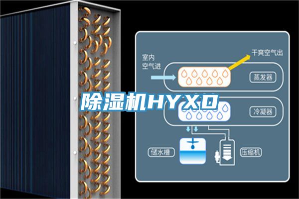 小黄片直播视频HYXD