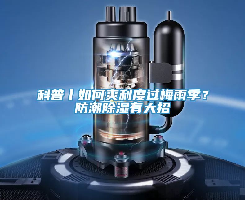科普丨如何爽利度过梅雨季？防潮除湿有大招