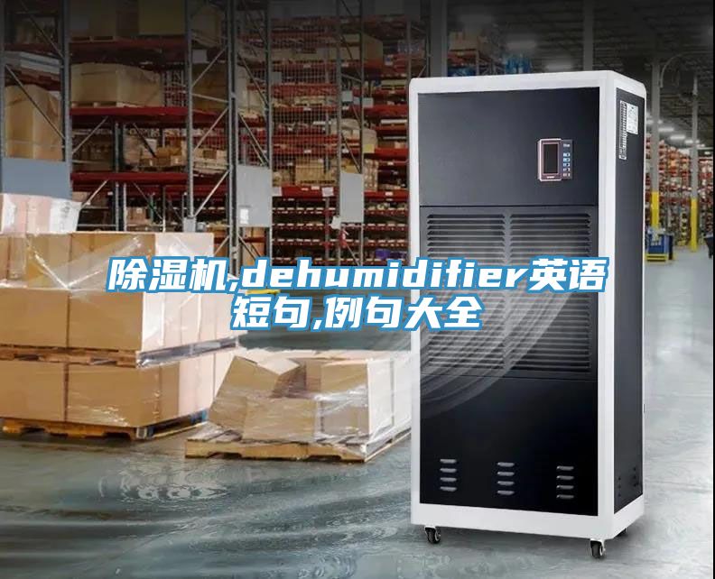 小黄片直播视频,dehumidifier英语短句,例句大全
