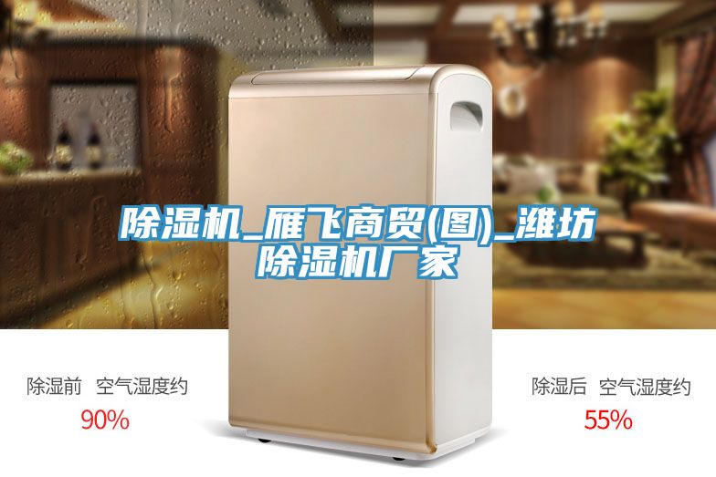 小黄片直播视频_雁飞商贸(图)_潍坊小黄片直播视频厂家