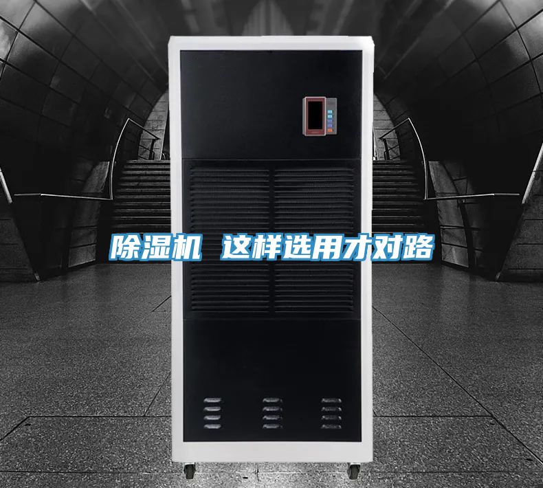 小黄片直播视频 这样选用才对路