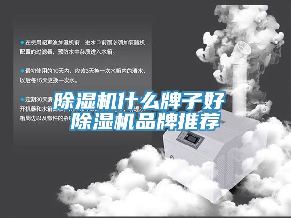 小黄片直播视频什么牌子好 小黄片直播视频品牌推荐