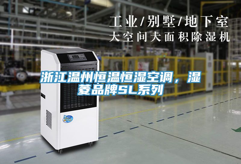 浙江温州恒温恒湿空调，湿菱品牌SL系列