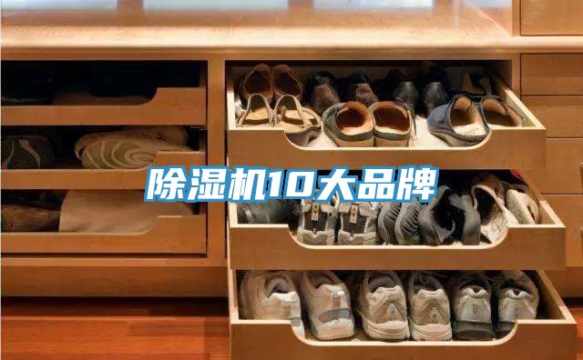 小黄片直播视频10大品牌