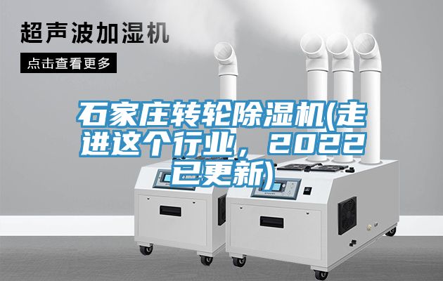 石家庄转轮小黄片直播视频(走进这个行业，2022已更新)