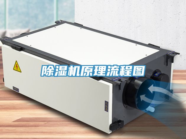 小黄片直播视频原理流程图