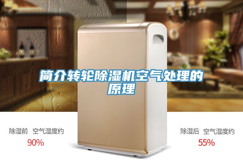 简介转轮小黄片直播视频空气处理的原理