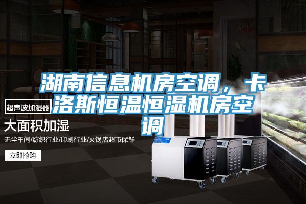 湖南信息机房空调，卡洛斯恒温恒湿机房空调