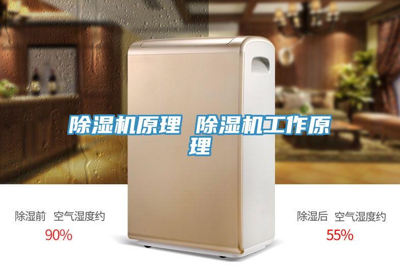 小黄片直播视频原理 小黄片直播视频工作原理