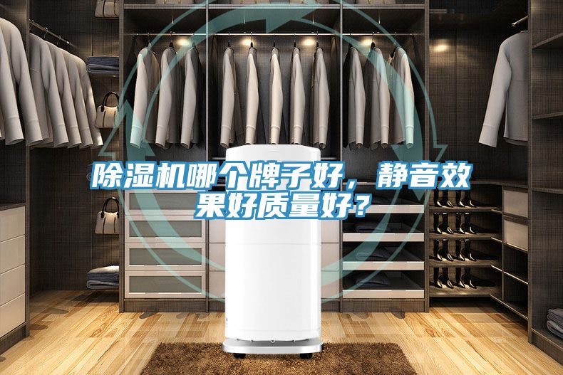 小黄片直播视频哪个牌子好，静音效果好质量好？