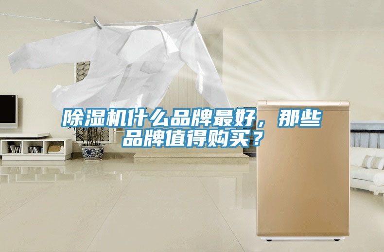 小黄片直播视频什么品牌最好，那些品牌值得购买？