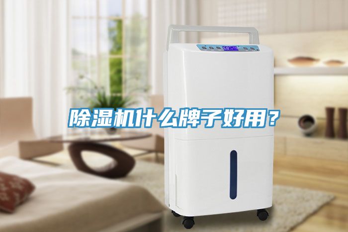 小黄片直播视频什么牌子好用？