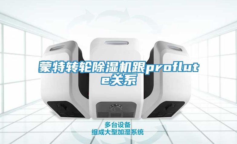 蒙特转轮小黄片直播视频跟proflute关系