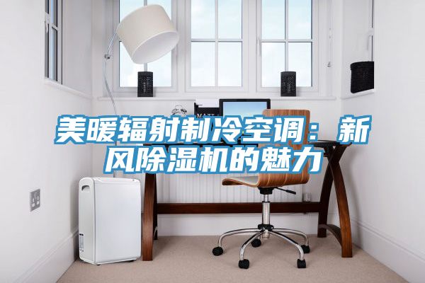 美暖辐射制冷空调：新风小黄片直播视频的魅力