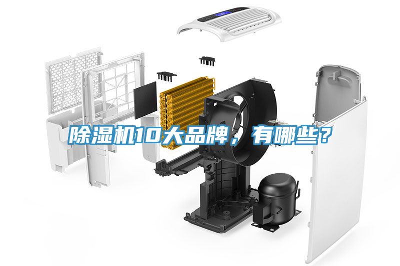 小黄片直播视频10大品牌，有哪些？