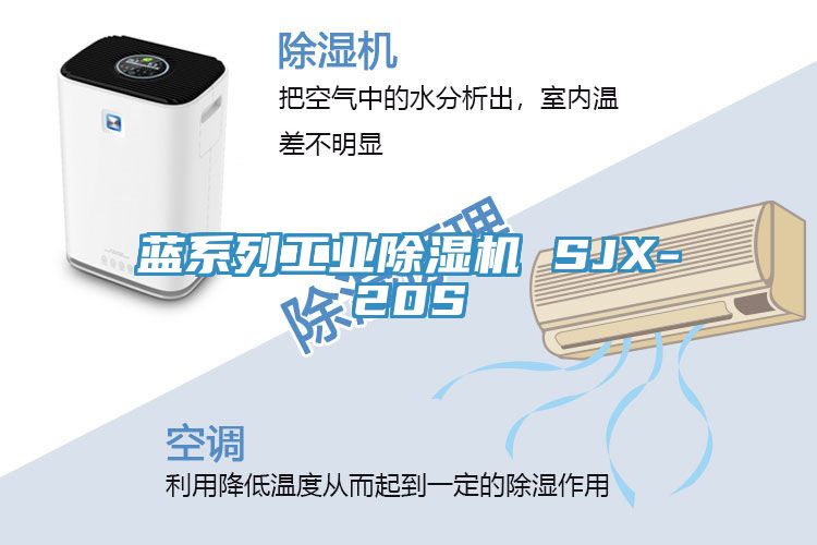 蓝系列工业小黄片直播视频 SJX-20S