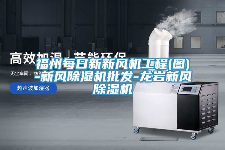 福州每日新新风机工程(图)-新风小黄片直播视频批发-龙岩新风小黄片直播视频
