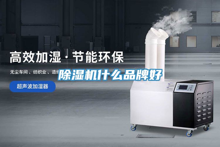 小黄片直播视频什么品牌好