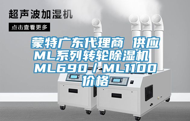 蒙特广东代理商 供应ML系列转轮小黄片直播视频 ML690／ML1100价格