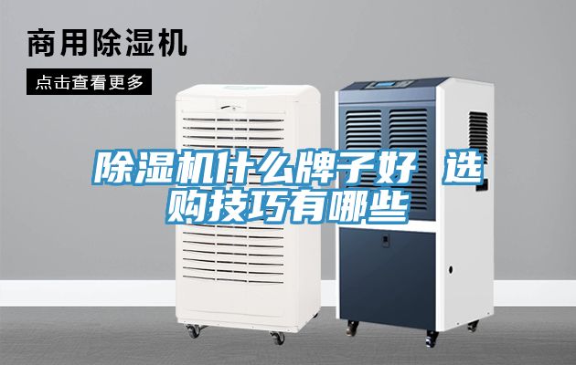 小黄片直播视频什么牌子好 选购技巧有哪些