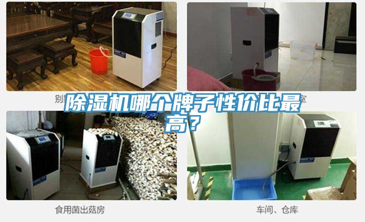 小黄片直播视频哪个牌子性价比最高？