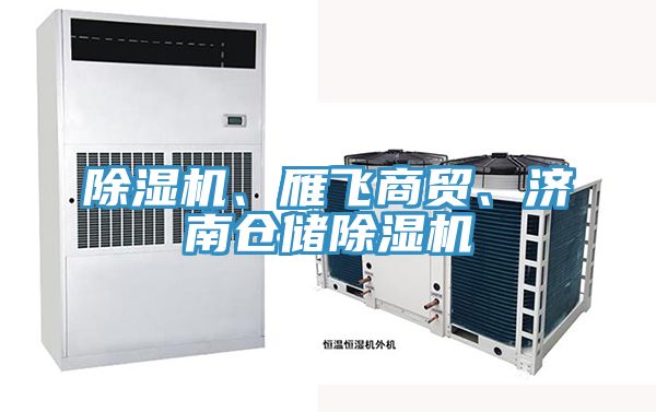 小黄片直播视频、雁飞商贸、济南仓储小黄片直播视频