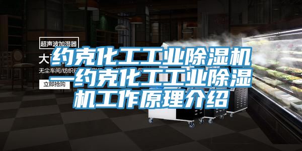 约克化工工业小黄片直播视频—约克化工工业小黄片直播视频工作原理介绍