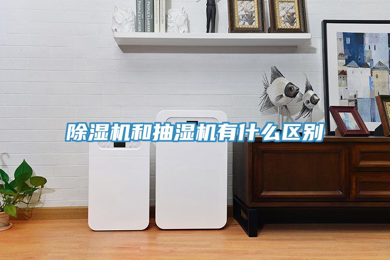 小黄片直播视频和抽湿机有什么区别
