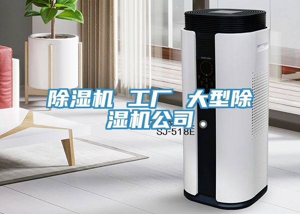 小黄片直播视频 工厂 大型小黄片直播视频公司