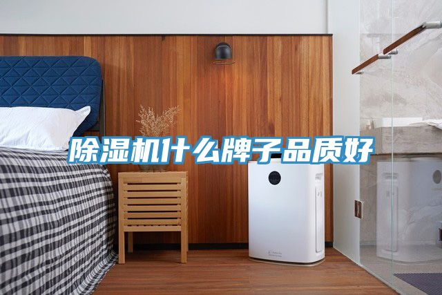 小黄片直播视频什么牌子品质好