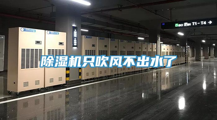小黄片直播视频只吹风不出水了
