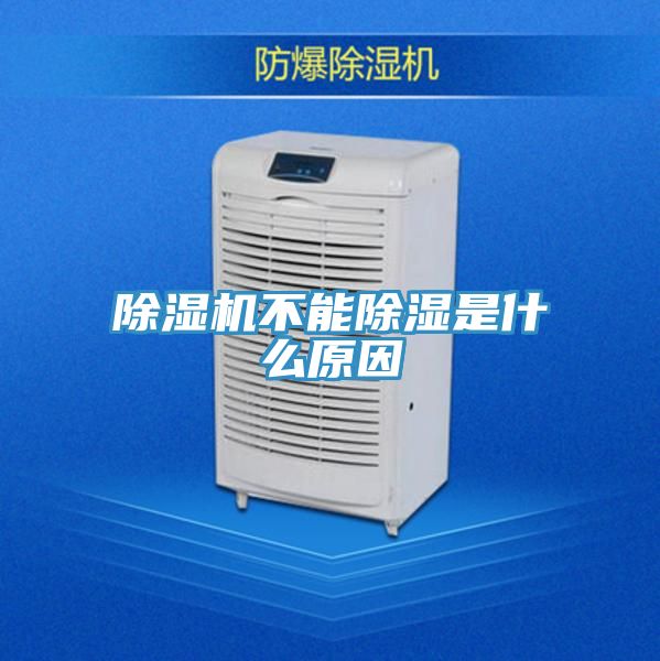 小黄片直播视频不能除湿是什么原因