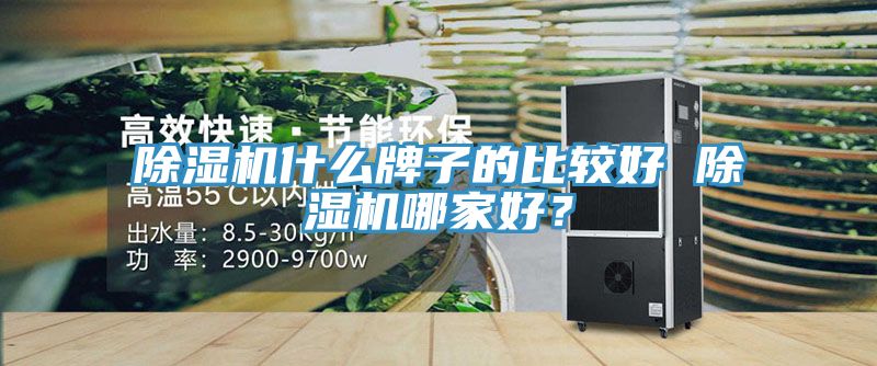 小黄片直播视频什么牌子的比较好 小黄片直播视频哪家好？