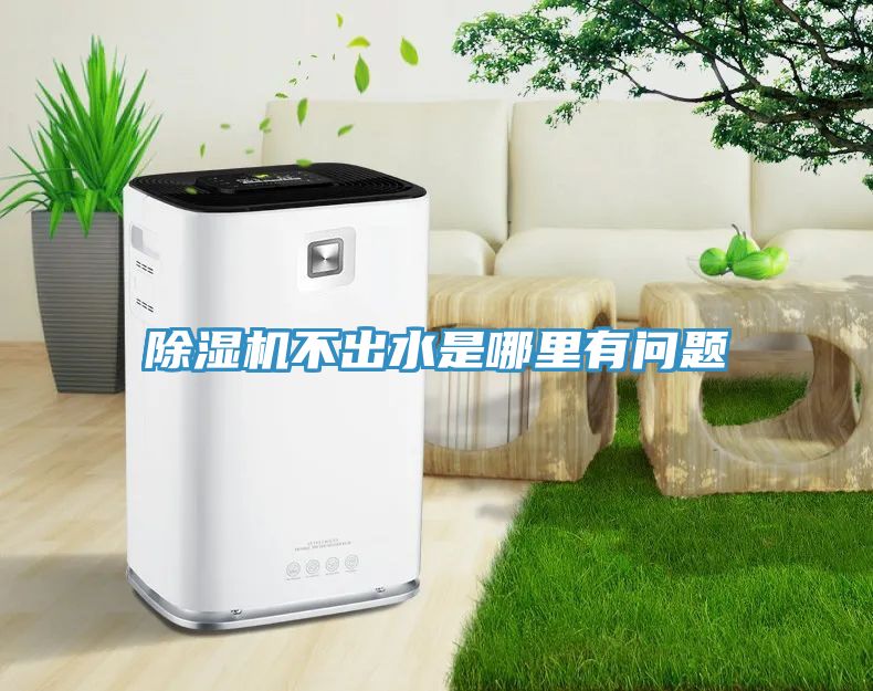 小黄片直播视频不出水是哪里有问题