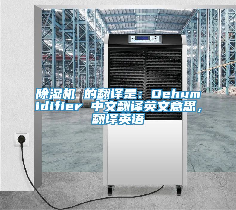 小黄片直播视频 的翻译是：Dehumidifier 中文翻译英文意思，翻译英语