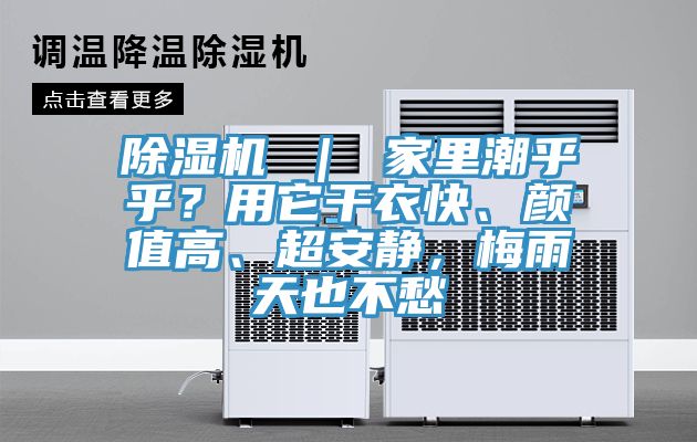 小黄片直播视频 ｜ 家里潮乎乎？用它干衣快、颜值高、超安静，梅雨天也不愁
