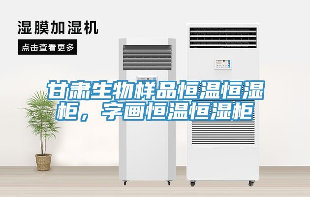 甘肃生物样品恒温恒湿柜，字画恒温恒湿柜