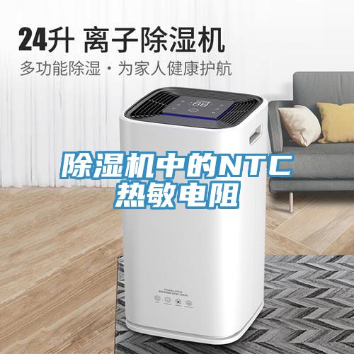 小黄片直播视频中的NTC热敏电阻