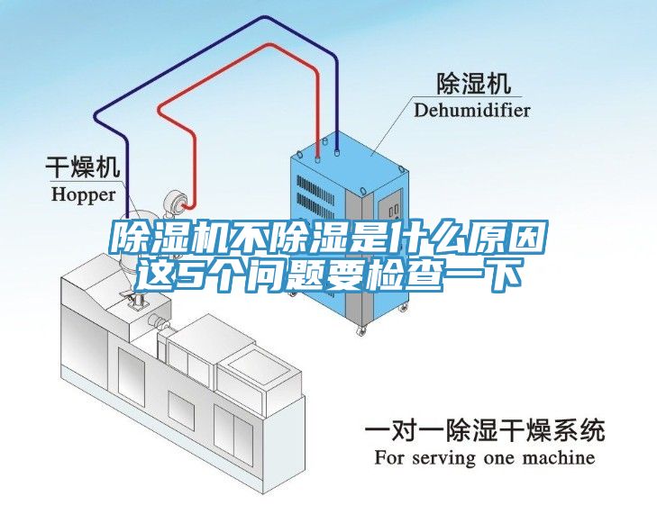 小黄片直播视频不除湿是什么原因这5个问题要检查一下