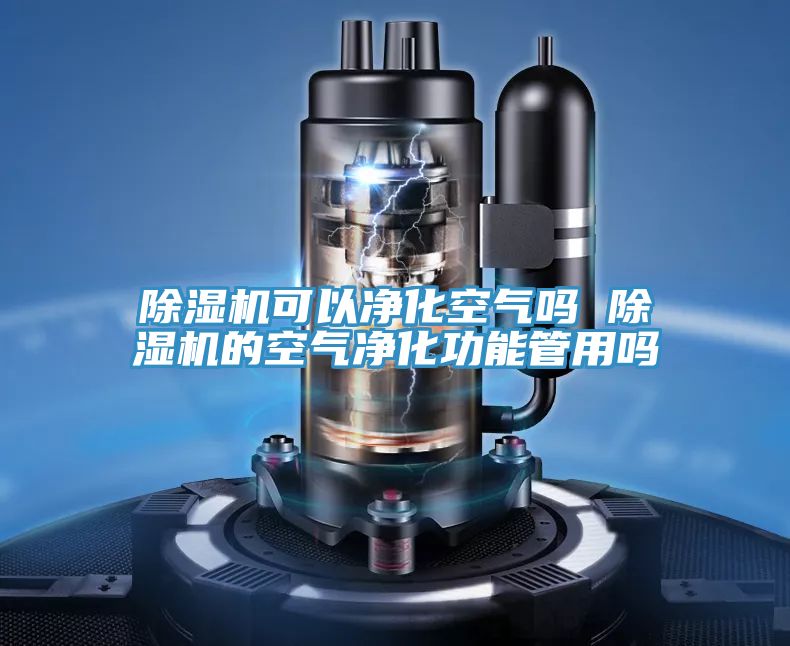 小黄片直播视频可以净化空气吗 小黄片直播视频的空气净化功能管用吗