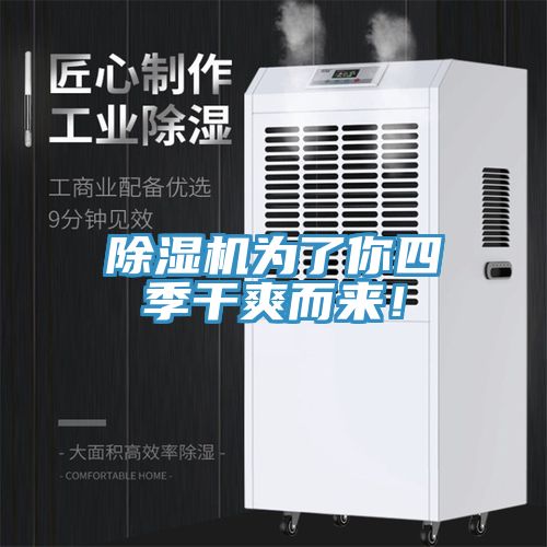 小黄片直播视频为了你四季干爽而来！