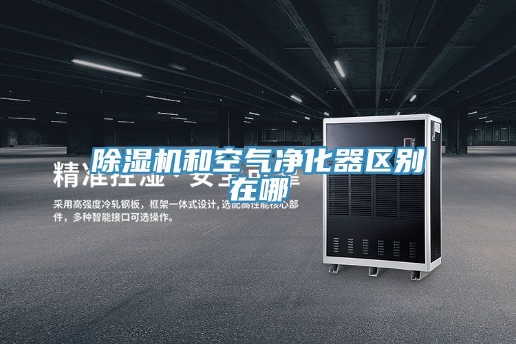小黄片直播视频和空气净化器区别在哪