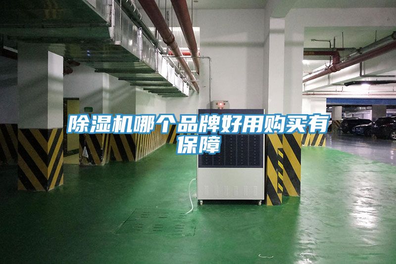 小黄片直播视频哪个品牌好用购买有保障