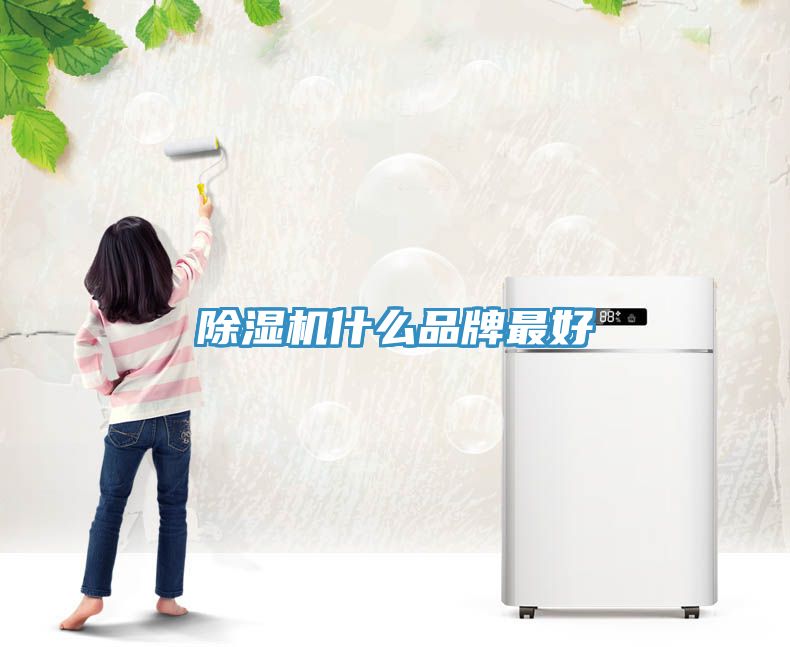 小黄片直播视频什么品牌最好