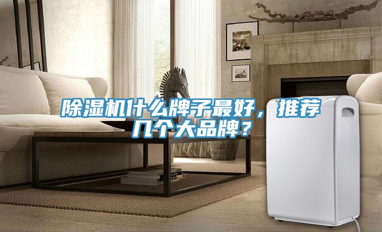 小黄片直播视频什么牌子最好，推荐几个大品牌？