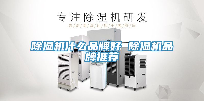 小黄片直播视频什么品牌好 小黄片直播视频品牌推荐