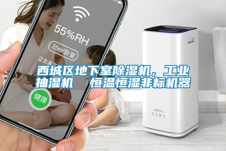 西城区地下室小黄片直播视频，工业抽湿机  恒温恒湿非标机器