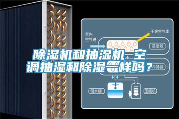 小黄片直播视频和抽湿机 空调抽湿和除湿一样吗？