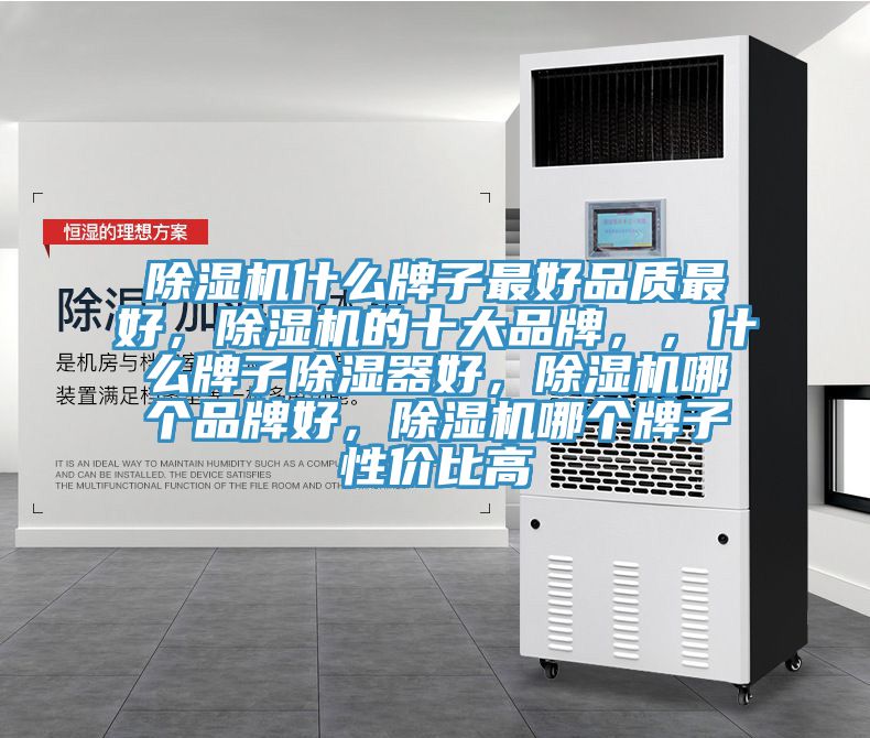小黄片直播视频什么牌子最好品质最好，小黄片直播视频的十大品牌，，什么牌子除湿器好，小黄片直播视频哪个品牌好，小黄片直播视频哪个牌子性价比高