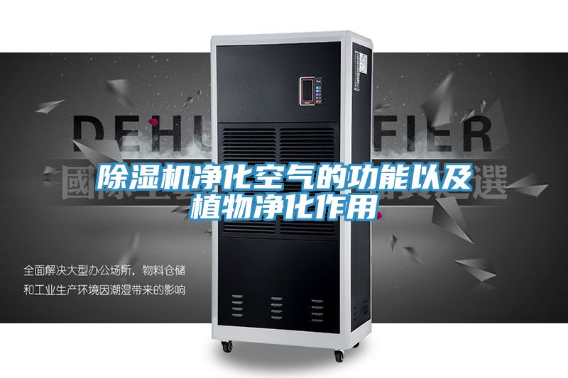 小黄片直播视频净化空气的功能以及植物净化作用